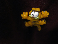 Photo-little