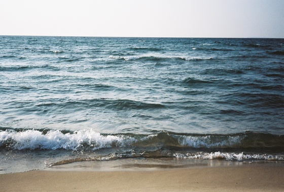 Image-167442-full