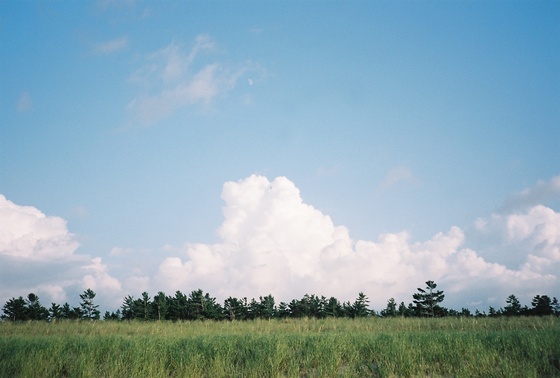 Image-167443-full