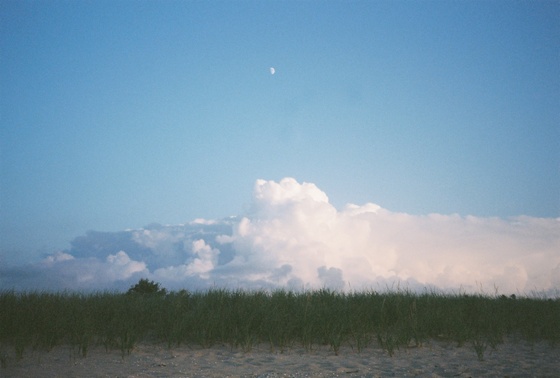 Image-167445-full