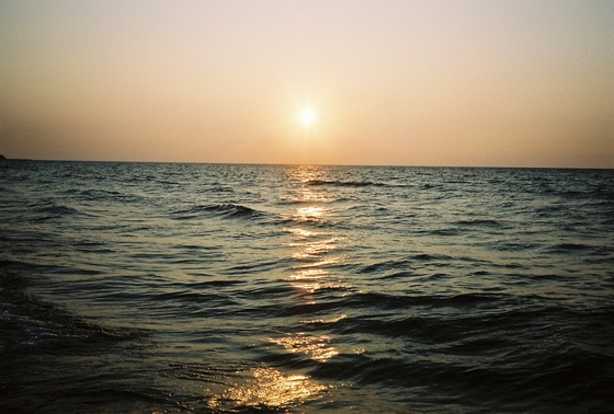 Image-167448-full