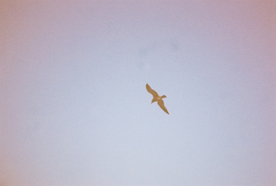 Image-167450-full