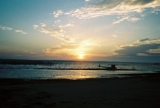 Image-167462-full