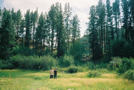 Image-167469-full