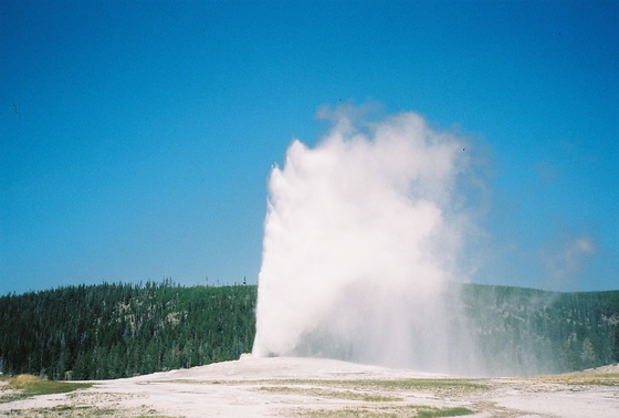 Image-167471-full