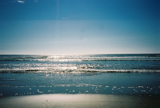 Image-167479-full