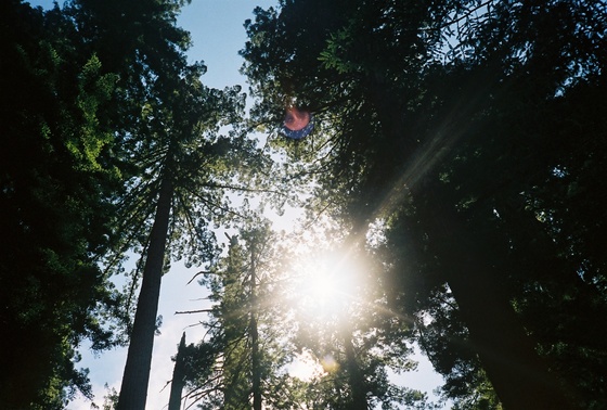 Image-167482-full