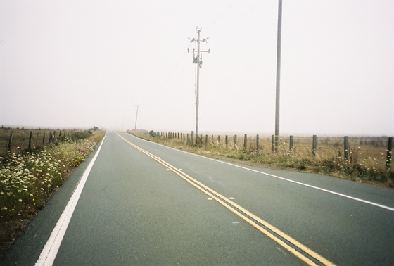 Image-167484-full