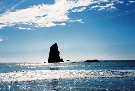 Image-195943-full