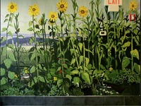 Photo-little