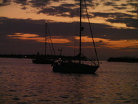 Photo-little