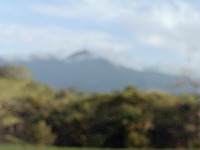Photo-little