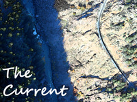 Photo-little