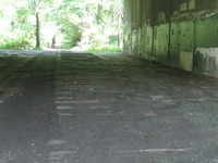 Photo-little