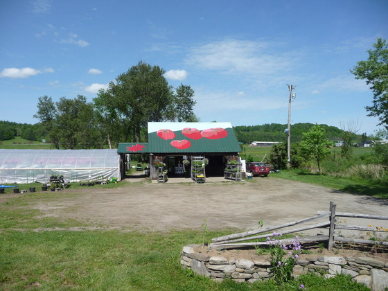 Image-120742-full