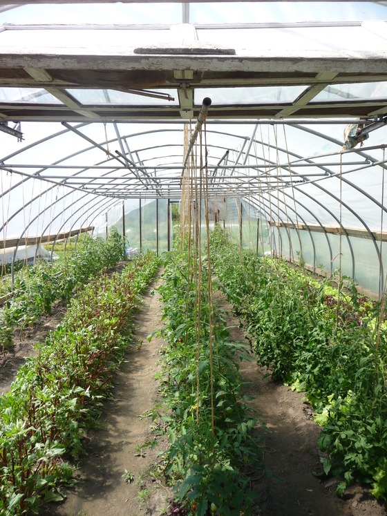 Image-120744-full