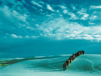 Photo-little