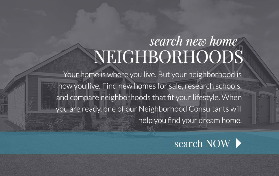 Search Neighborhoods
