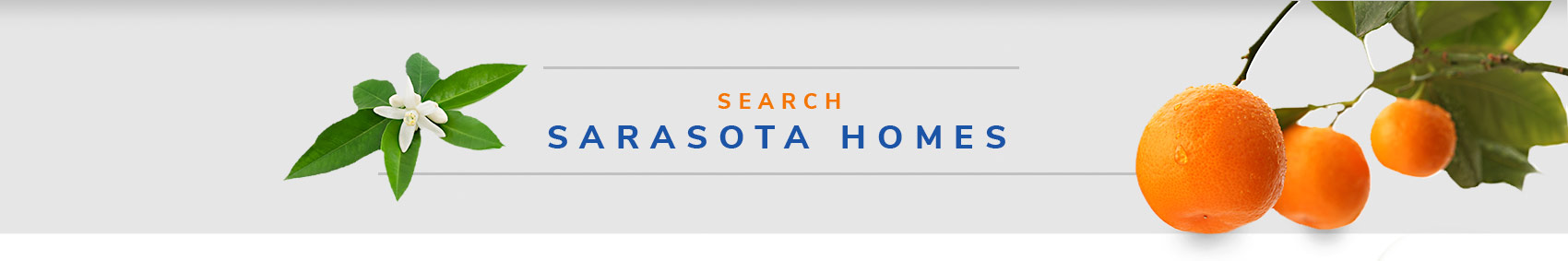 Search Sarasota Homes