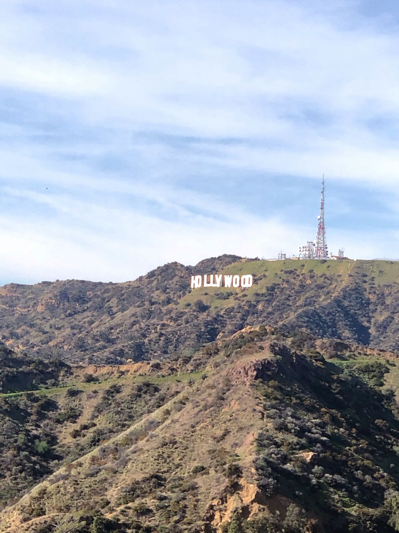 hollywood