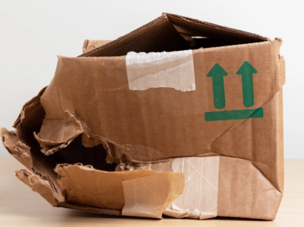 37_Failed_Box.webp