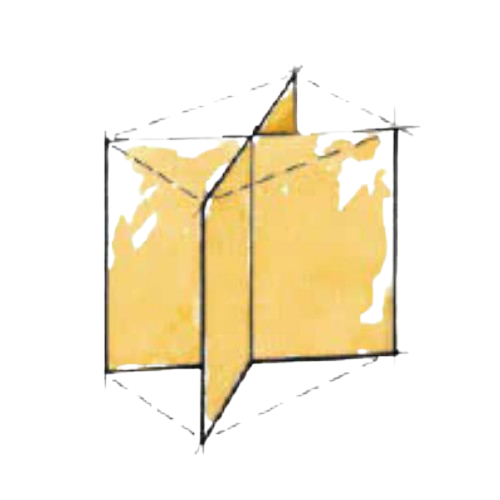 56_MARGARITA_EA__5__removebg_preview.png