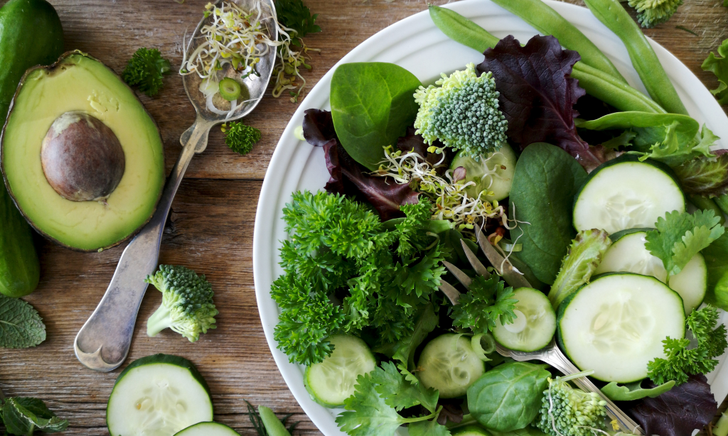 How to Live a Long and Healthy Life: Tips for Longevity – Kyla