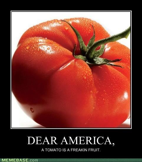 internet-memes-pizza-is-not-a-vegetable.jpg?1321901975