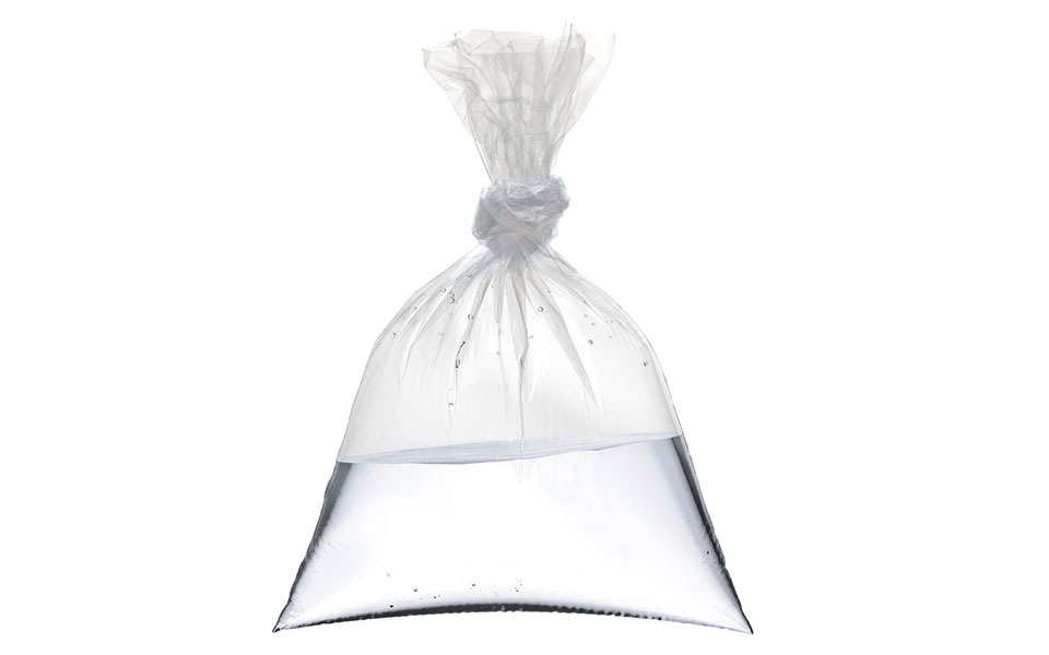 Does Hanging Bags Of Water Deter Flies at Charles Hawkins blog