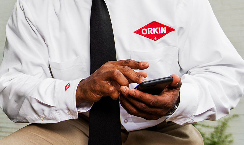 Orkin Account Insights Pest Control Service Documentation Monitoring