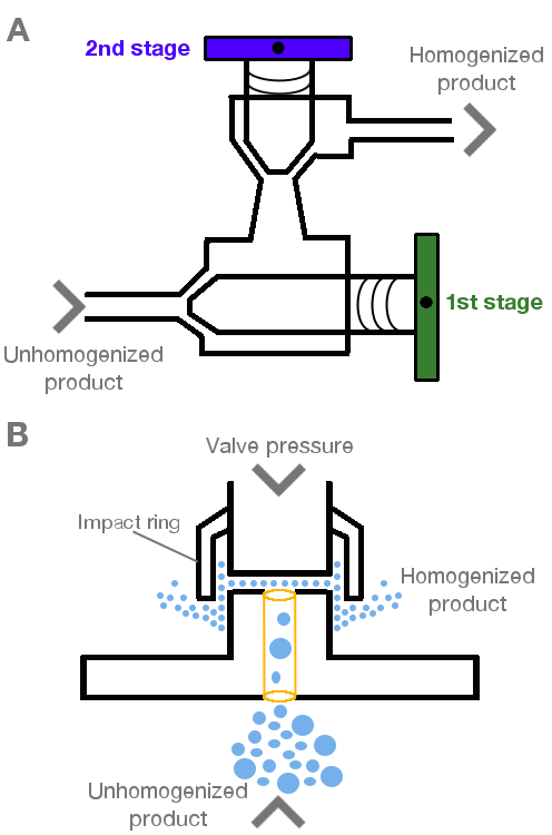 Homogenization Process Labster