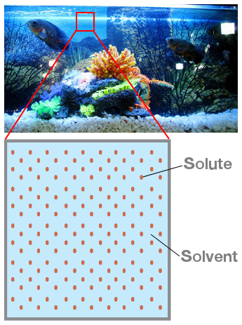 Example of solution: saline water