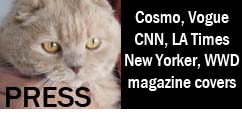 La Carmina in the news, interviews, press and articles about Gothic Lolita Japanese subcultures, youths, fashion.