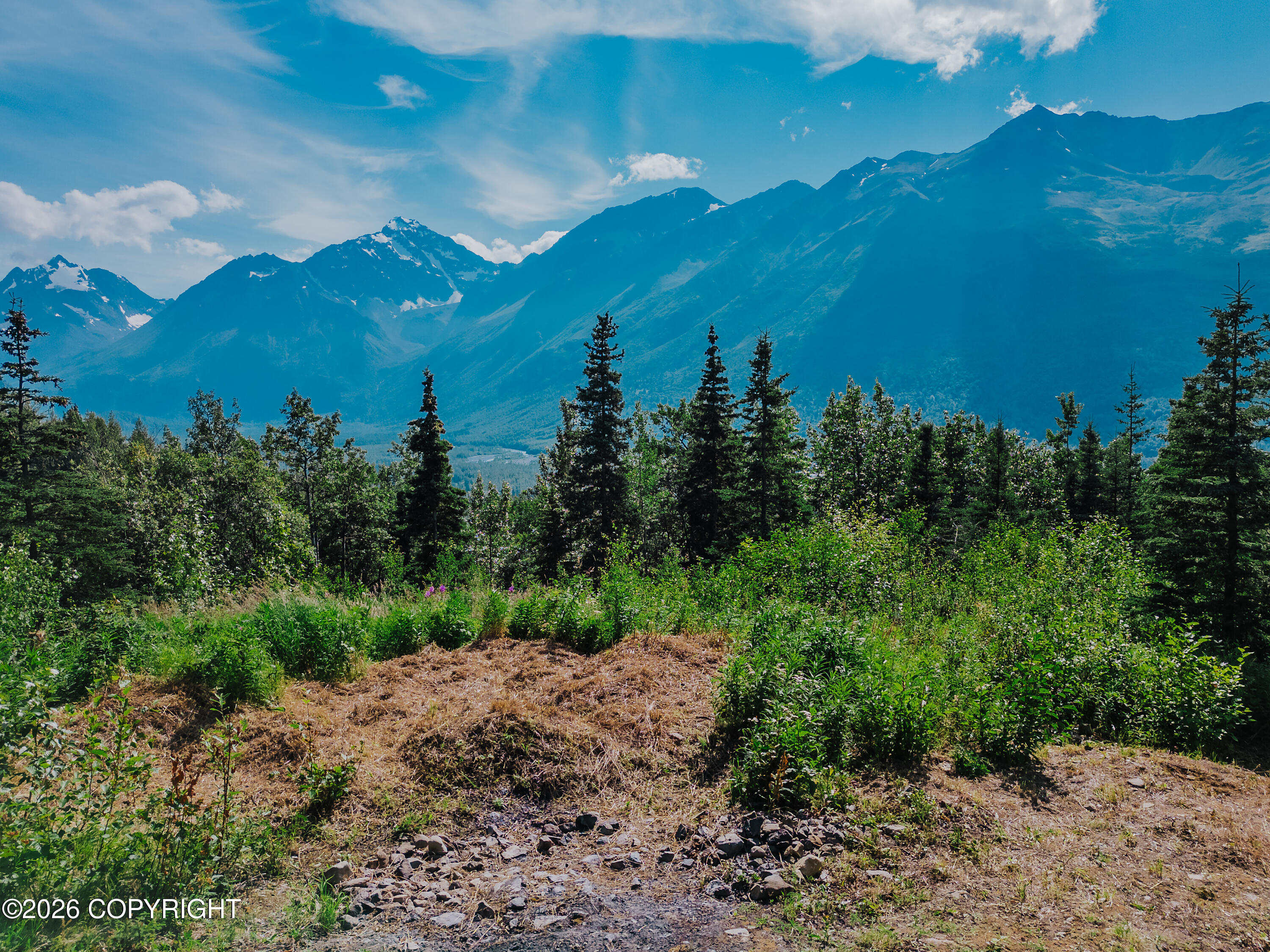See full size image and slideshow Thumbnail 1