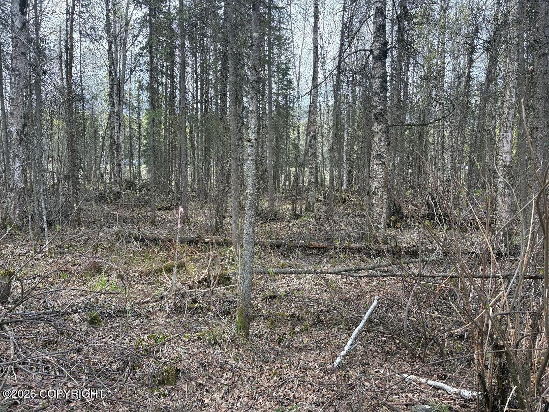 See full size image and slideshow Thumbnail 1