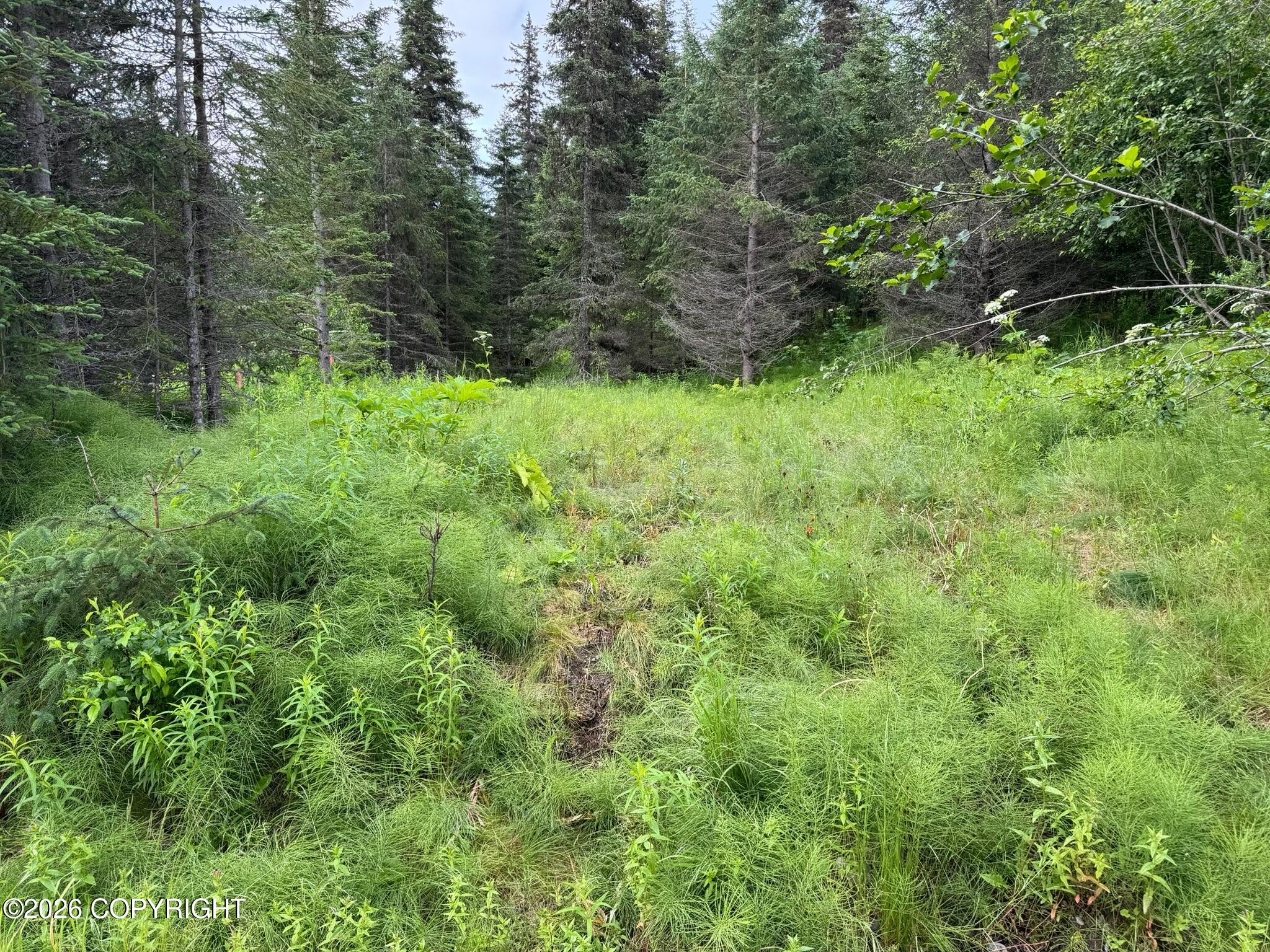 See full size image and slideshow Thumbnail 3