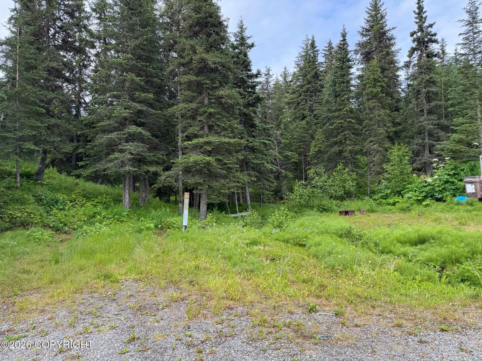 See full size image and slideshow Thumbnail 4