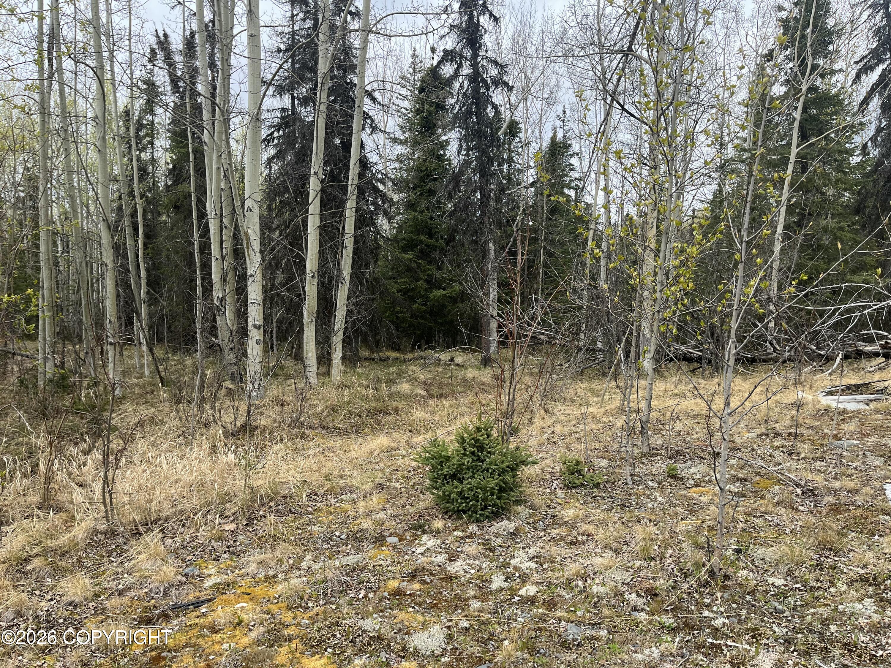 See full size image and slideshow Thumbnail 2