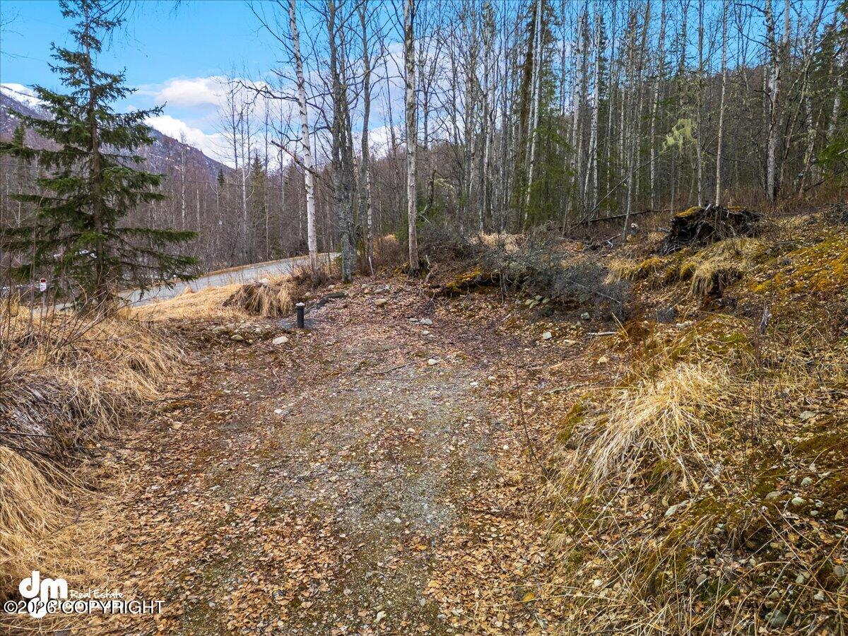 See full size image and slideshow Thumbnail 1