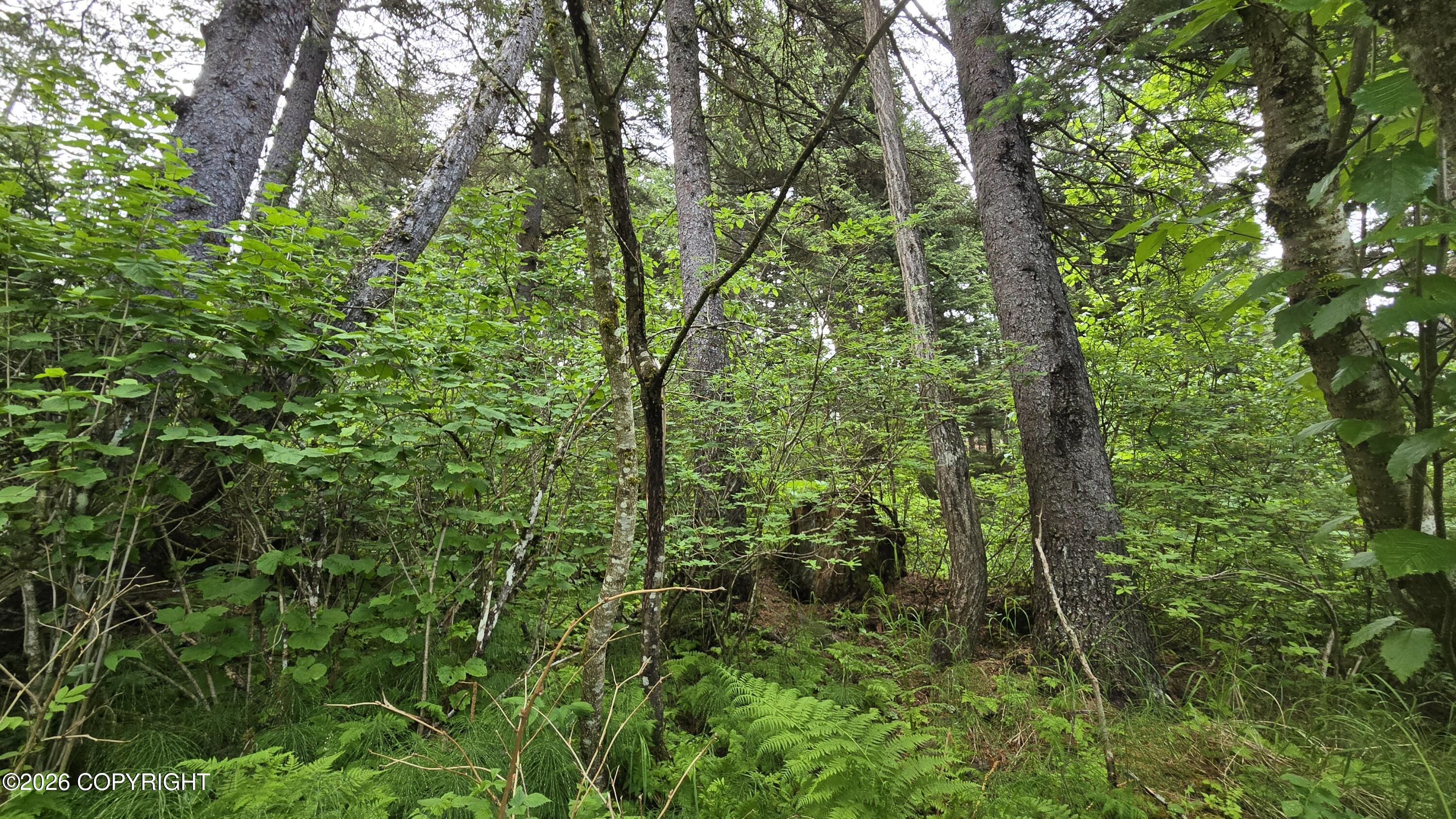 See full size image and slideshow Thumbnail 2