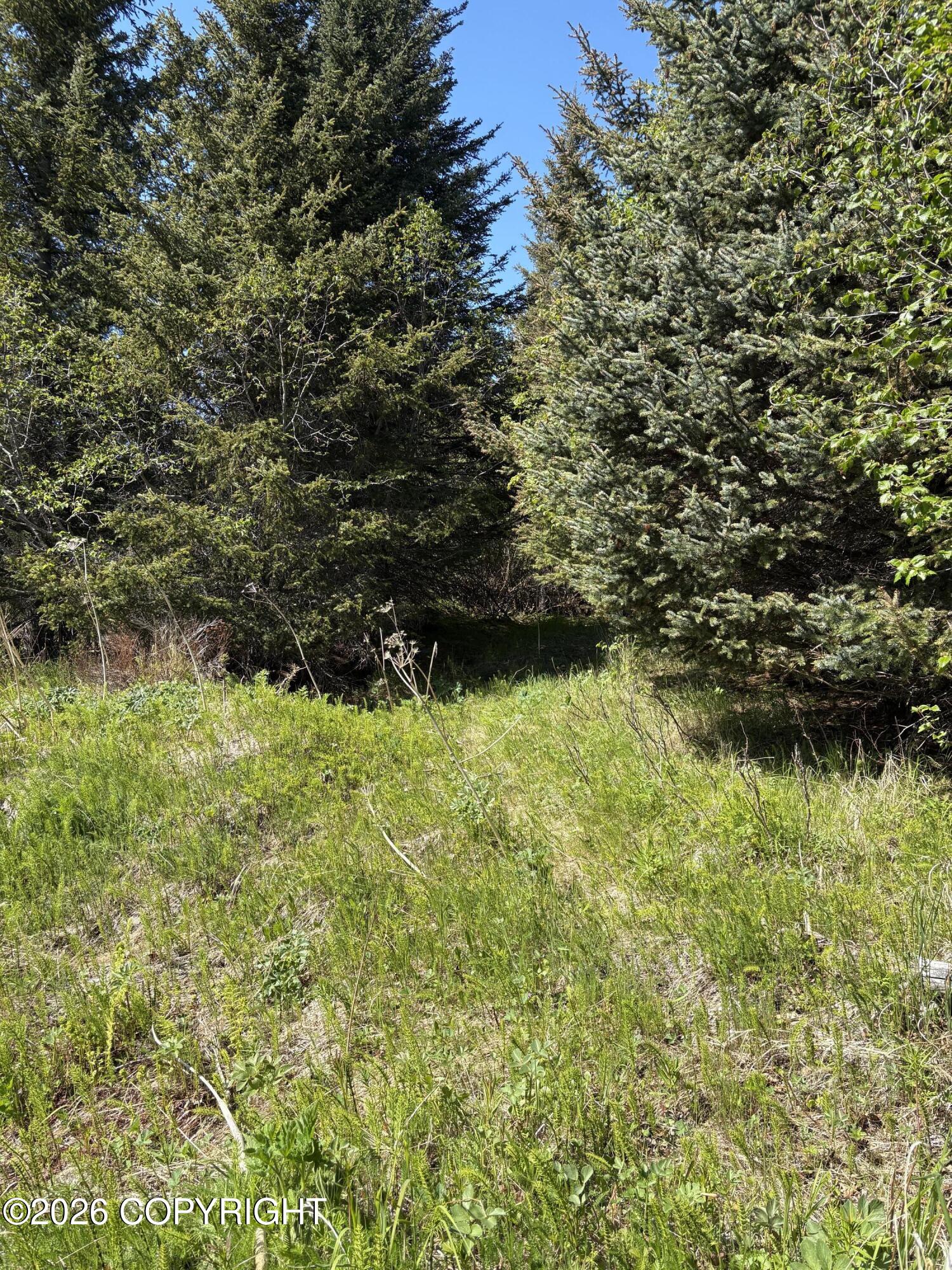 See full size image and slideshow Thumbnail 1