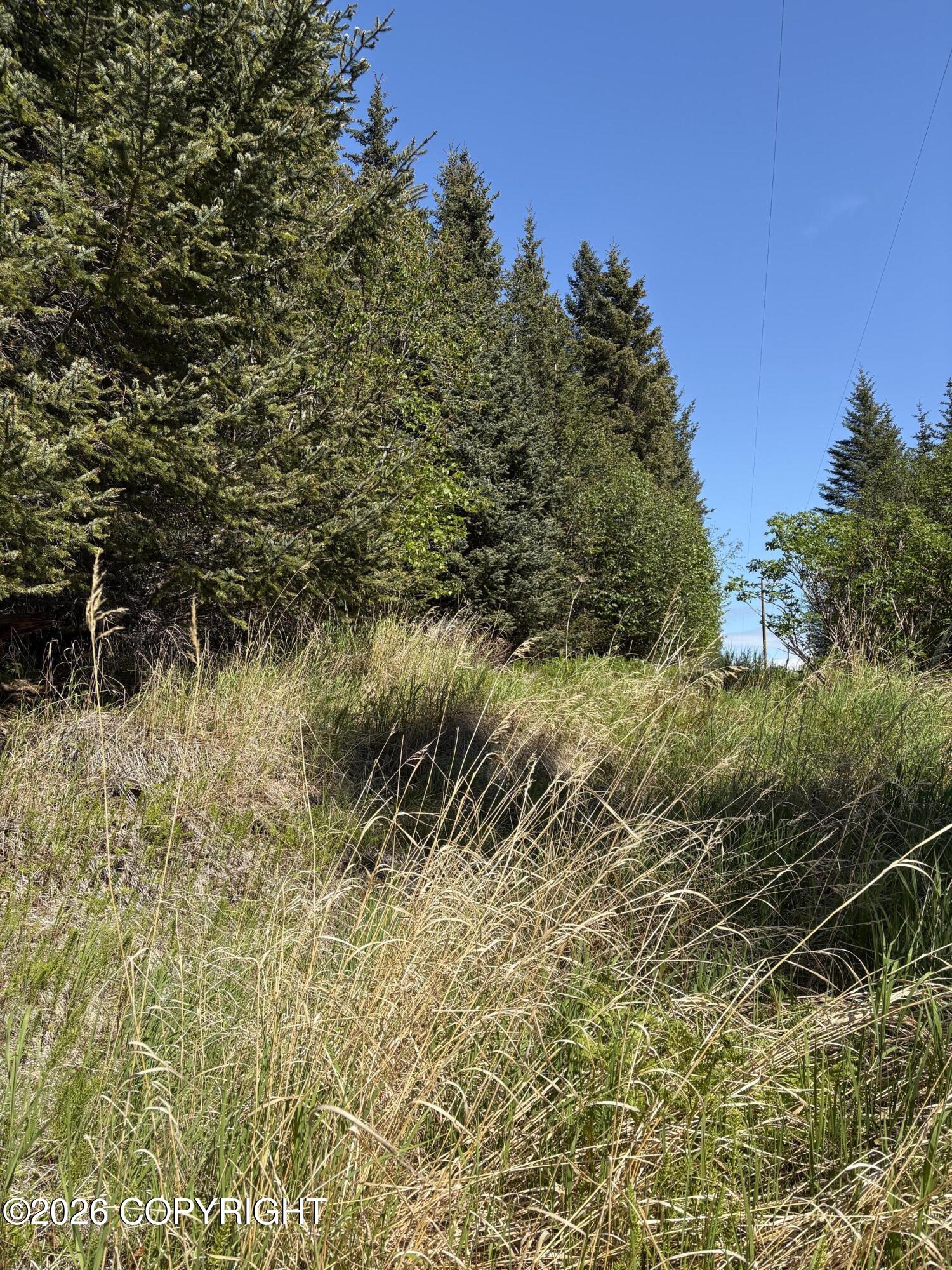 See full size image and slideshow Thumbnail 3