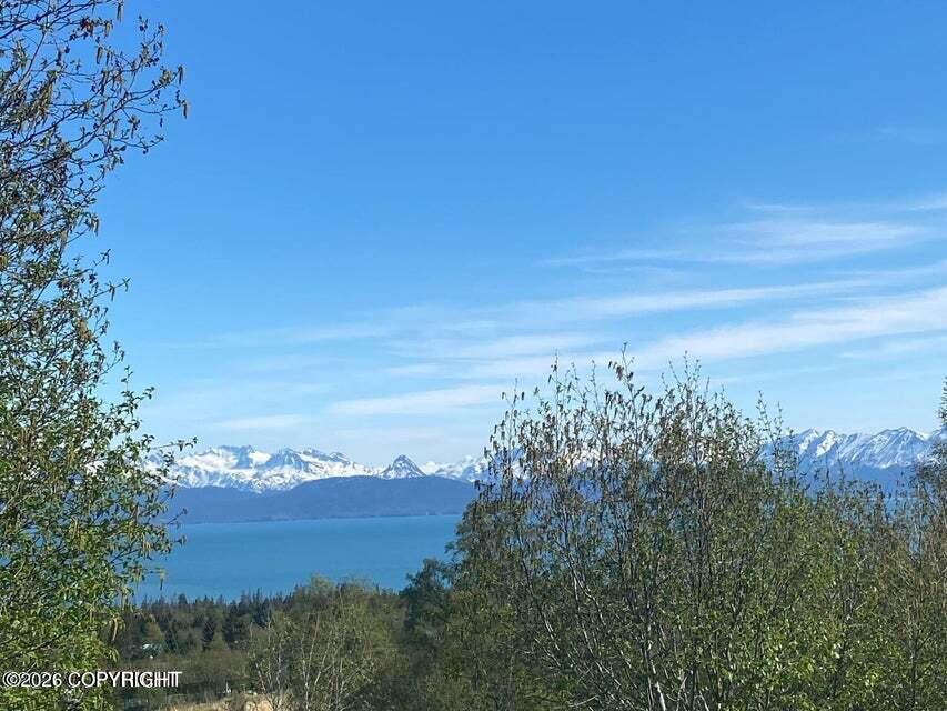 See full size image and slideshow Thumbnail 4