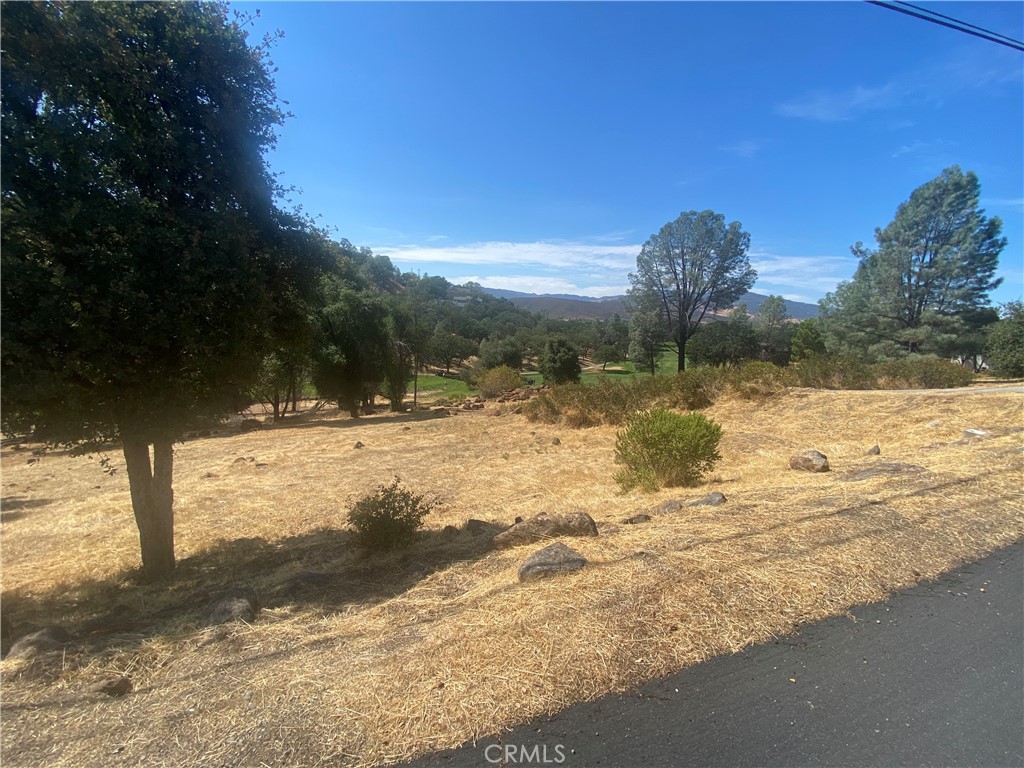 See full size image and slideshow Thumbnail 1