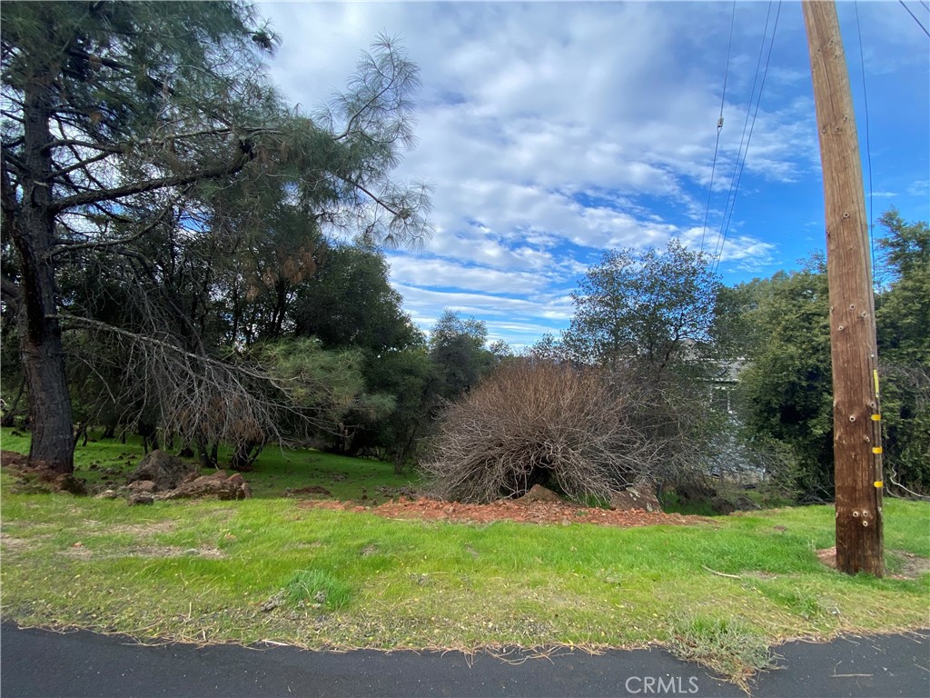 See full size image and slideshow Thumbnail 1
