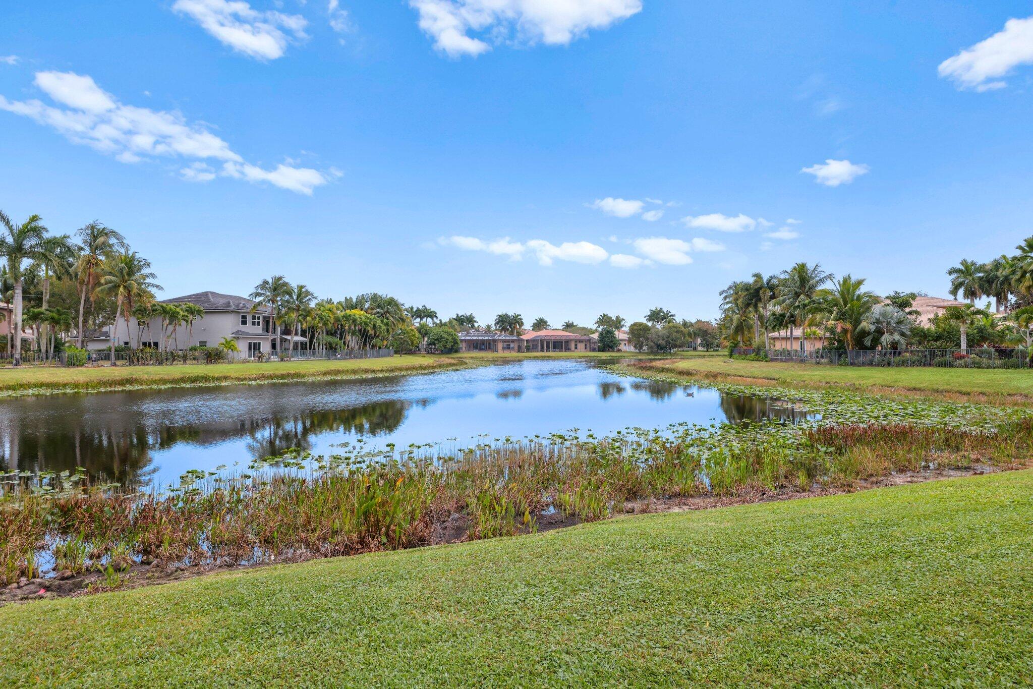 See full size image and slideshow Thumbnail 3