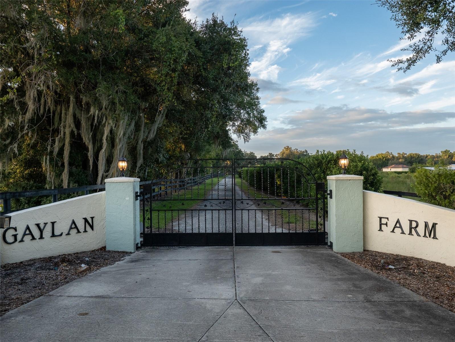 See full size image and slideshow Thumbnail 2