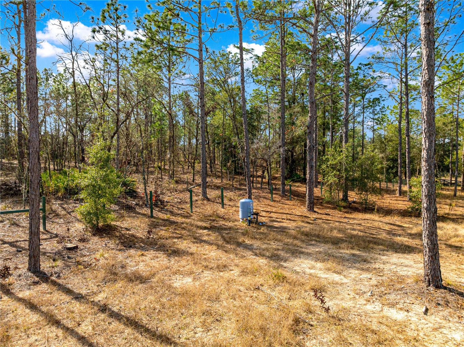 See full size image and slideshow Thumbnail 2