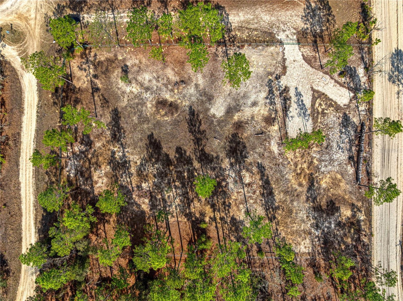 See full size image and slideshow Thumbnail 4