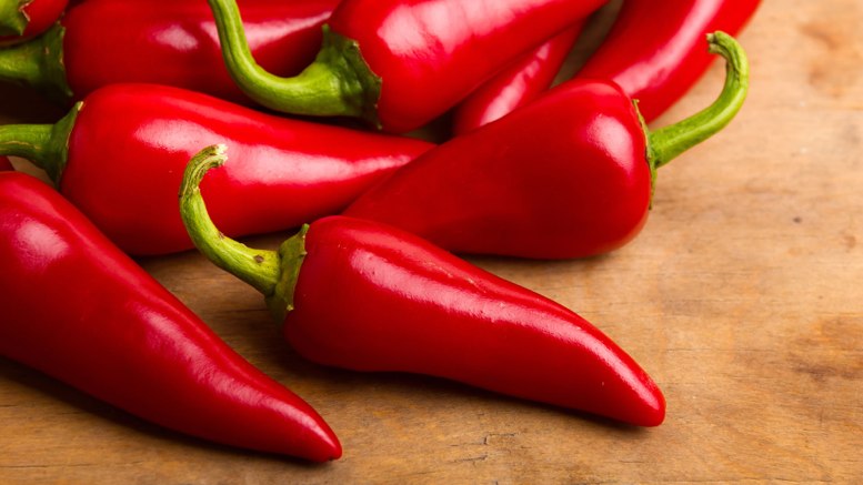 Chile Picante